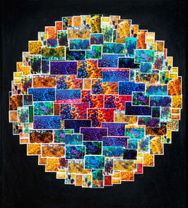 VESZELY FERENC Szőlőszem, montázs.jpg