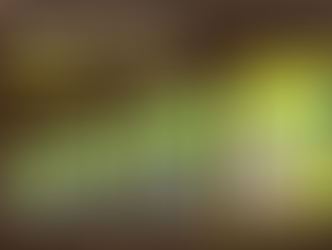 VIRÁGFÖLD ÉS MARHATRÁGYA BEVEZETŐ AKCIÓ