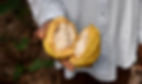 hand-holding-open-fruit-close-up.jpg