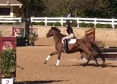 I ride in the show ring less frequently