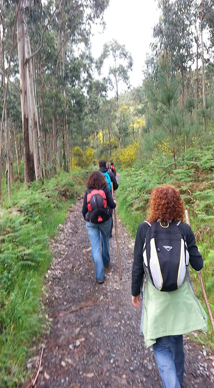 WhatsApp Image 2024-05-31 at 07.21.00.jpeg