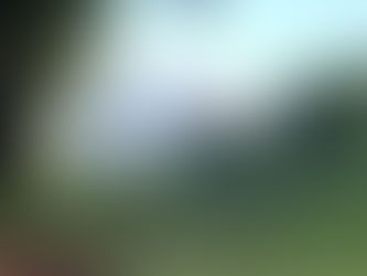 Los sonidos del silencio