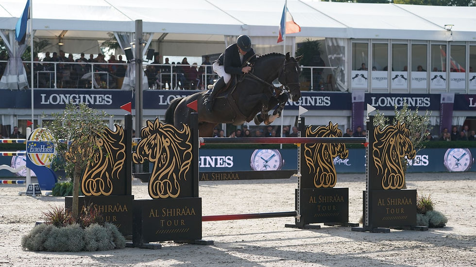 A New Stallion Joins BTB Stud: Castilly