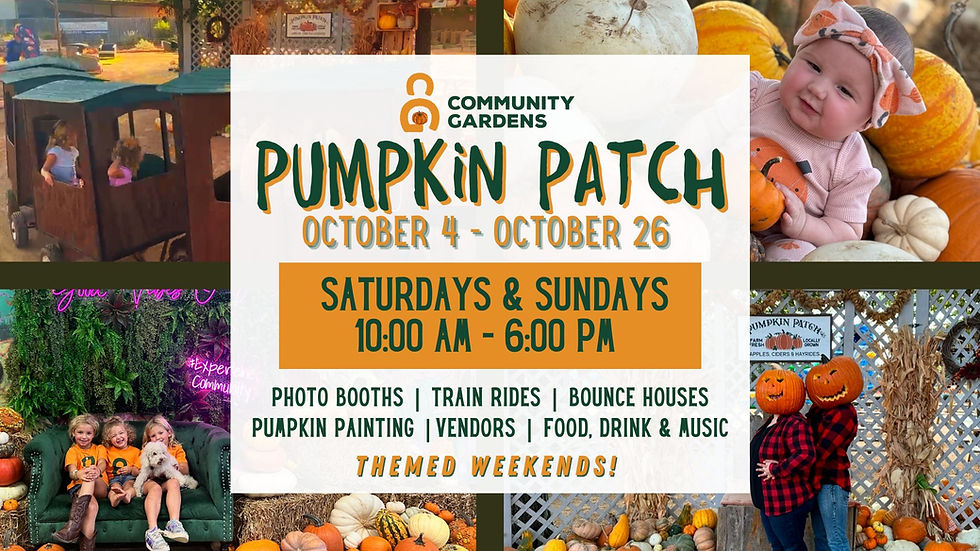 The Pumpkin Patch at Community Gardens