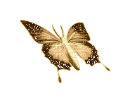 1158741_8019d.gif