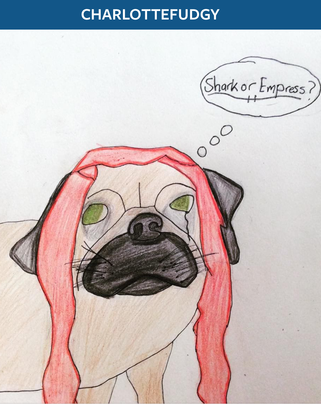 "Pug" by @charlottefudgy