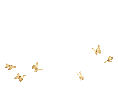 goldbutterfliesloop.gif