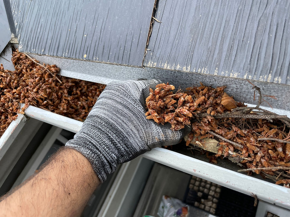 Gutter Cleaning Services in Portland & Nearby Cities 🌧️🏡