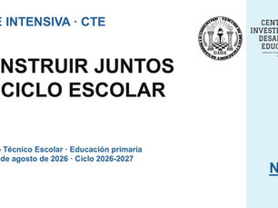 NEM:RESUMEN DE INSUMOS CTE FASE INTENSIVA AGO 2026.