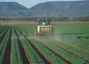 NRCSAZ02083_-_Arizona_449NRCS_Photo_Gall