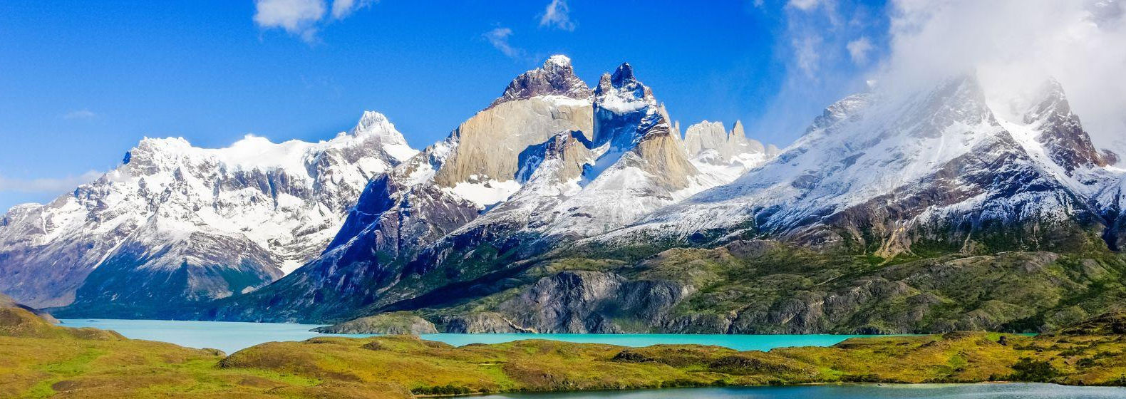 patagonia topp.jpeg