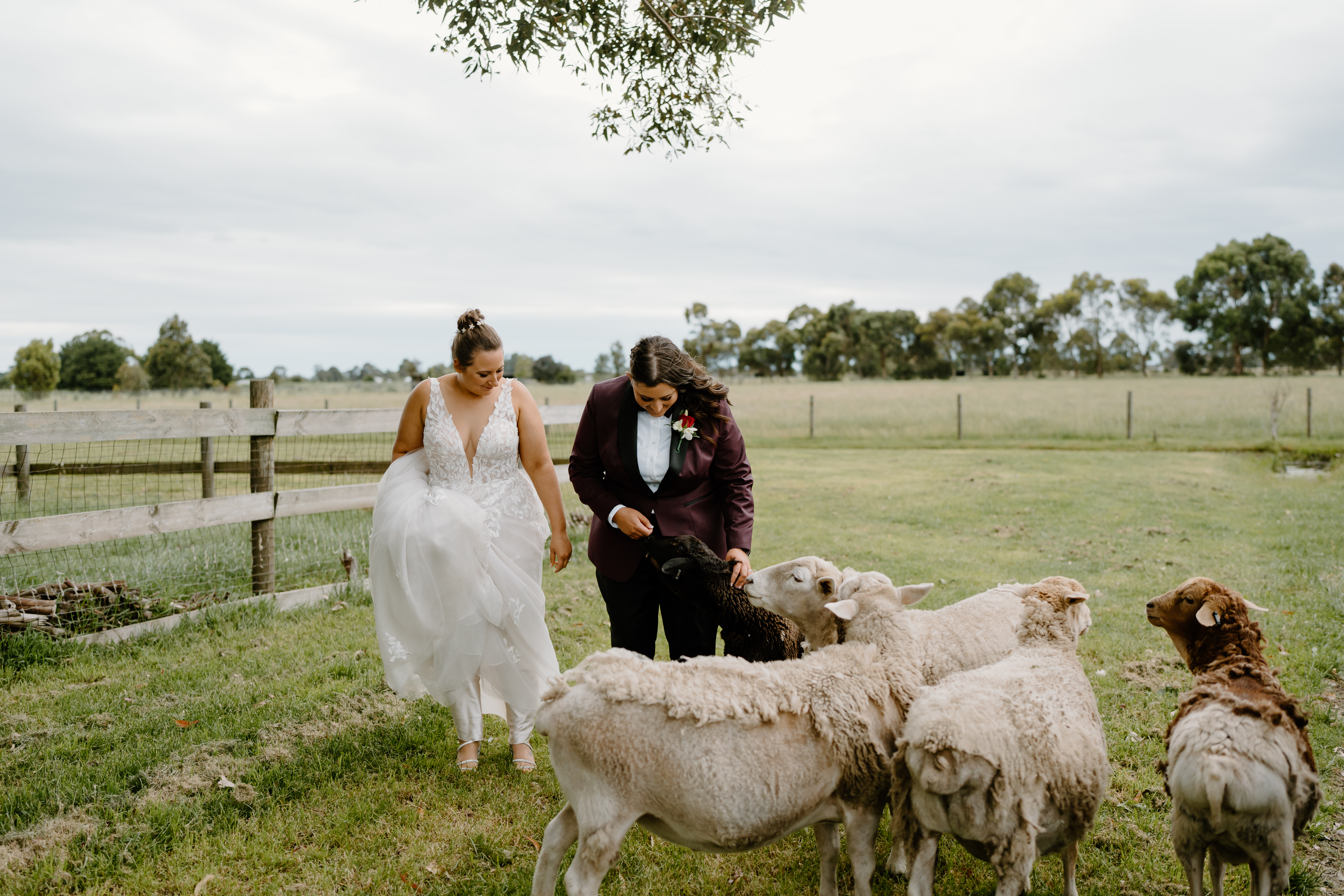 Emily Howlett Photography — photo 6 of 18