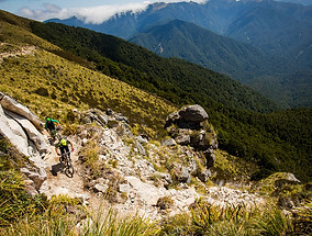 newzealand_image.jpg