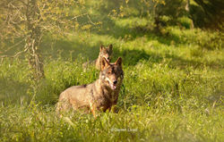 One of the three youngsters