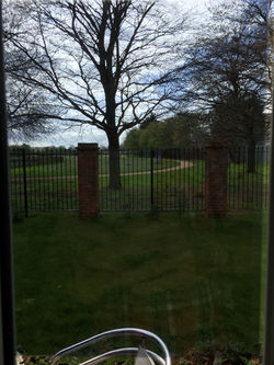 Medium Tint Mirror Film