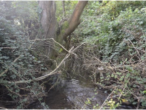 The Restoration of Keward Brook, Wells