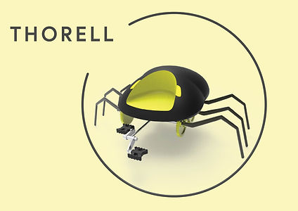 thorell new.jpg