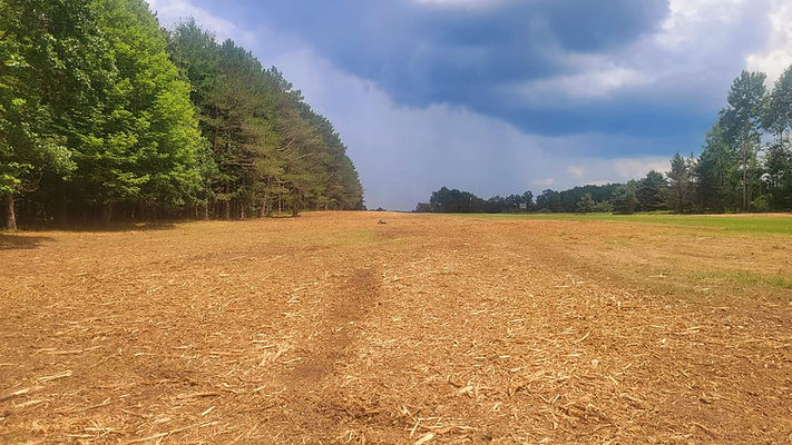 Land & Lot Clearing 001.jpg
