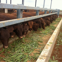 Screenshot 2016-01-05 20.05.08.png