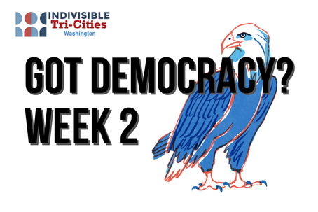 #GotDemocracy? WEEK TWO