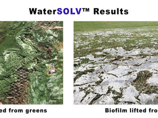 Unlocking Soil Potential: How WaterSOLV™ Restores Infiltration from Caliche to Black Layer