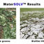 Unlocking Soil Potential: How WaterSOLV™ Restores Infiltration from Caliche to Black Layer