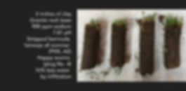 striped-fairways-all-summer-banner.png