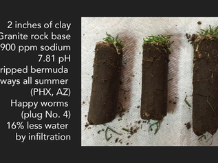 Infiltration: The Road to Nutritional Availability and Plant Vitality