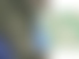 Pistachios and Almonds BAPU A-B Testing