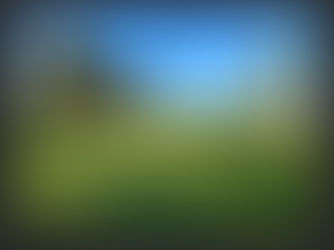 Harvest What you Have