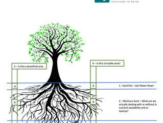 More Precise Answers from Soil Samples