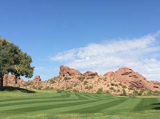 Arizona Country Club: WaterSOLV is doing Absolute Wonders for Our Turf