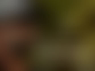 WaterSOLV & Orange Tree Golf Club