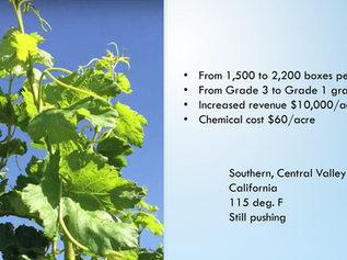 Revolutionary Solutions for Reclaimed and Hard Water and the Toughest Soil