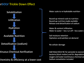 Why and How to Stop Using Sulfuric/N-pHuric Acid