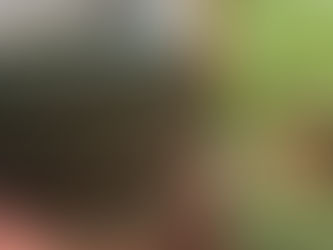 The Dirt on Soil and Soil Analytics