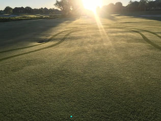 Visuals don't lie; No Polysaccharide Squish from the Tires, Simply Amazing