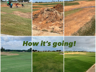 I Don’t Think Our Greens and Surrounds Have Ever Looked This Good