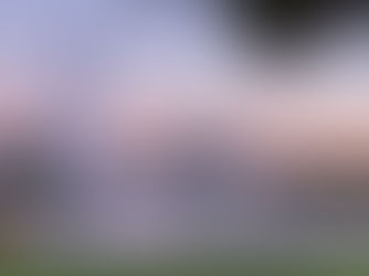 Fountain Hills: The Turf Looks Better Than We Have Ever Seen