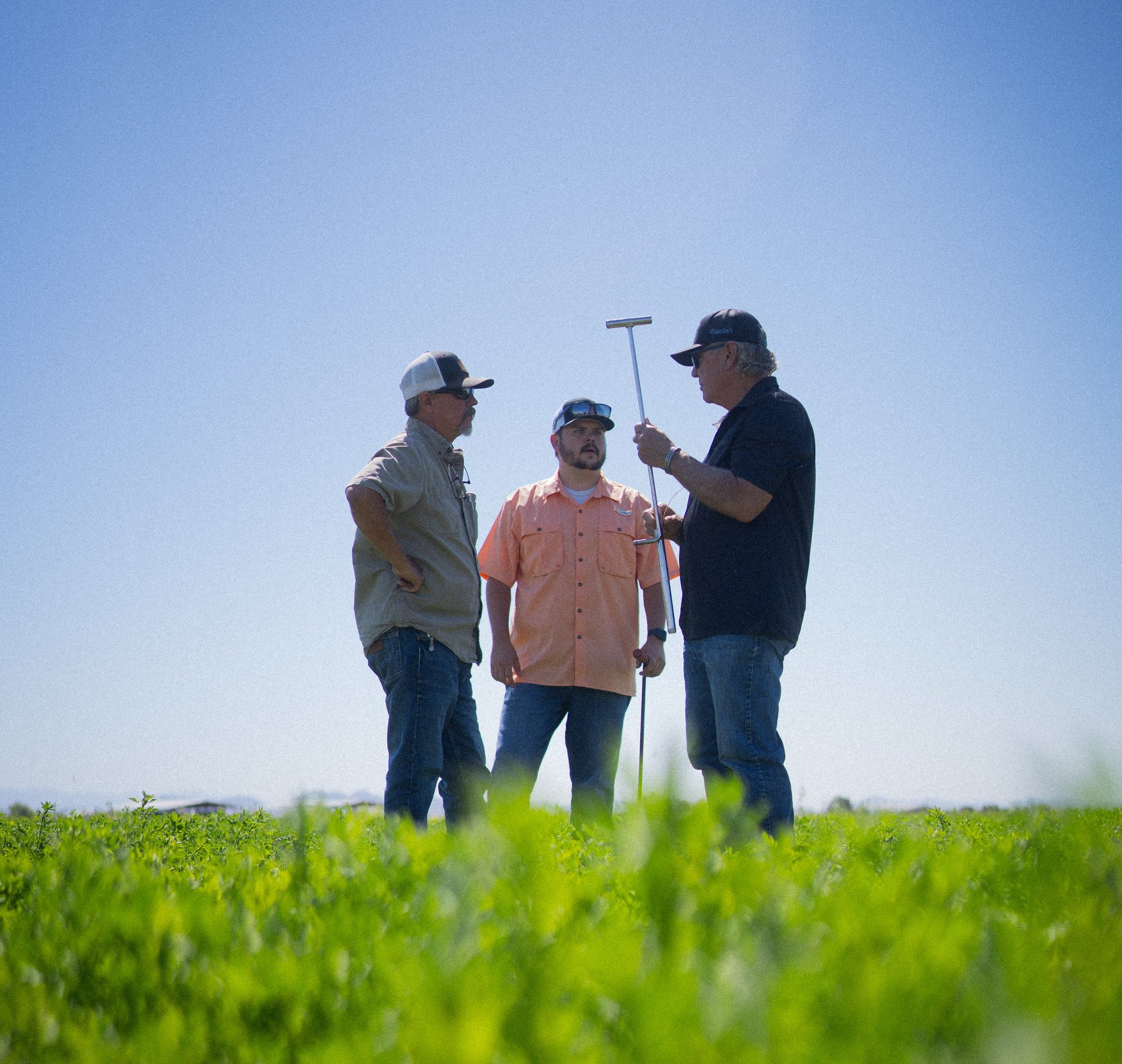 Todd Eden of HCT talking with two growers in a field, holding a soil probe