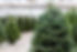 22564_edited.jpg