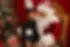 eee6ef9f3f06b2535e9719301a4c4fe004-08-fresh-off-the-boat.2x.h473.w710.webp