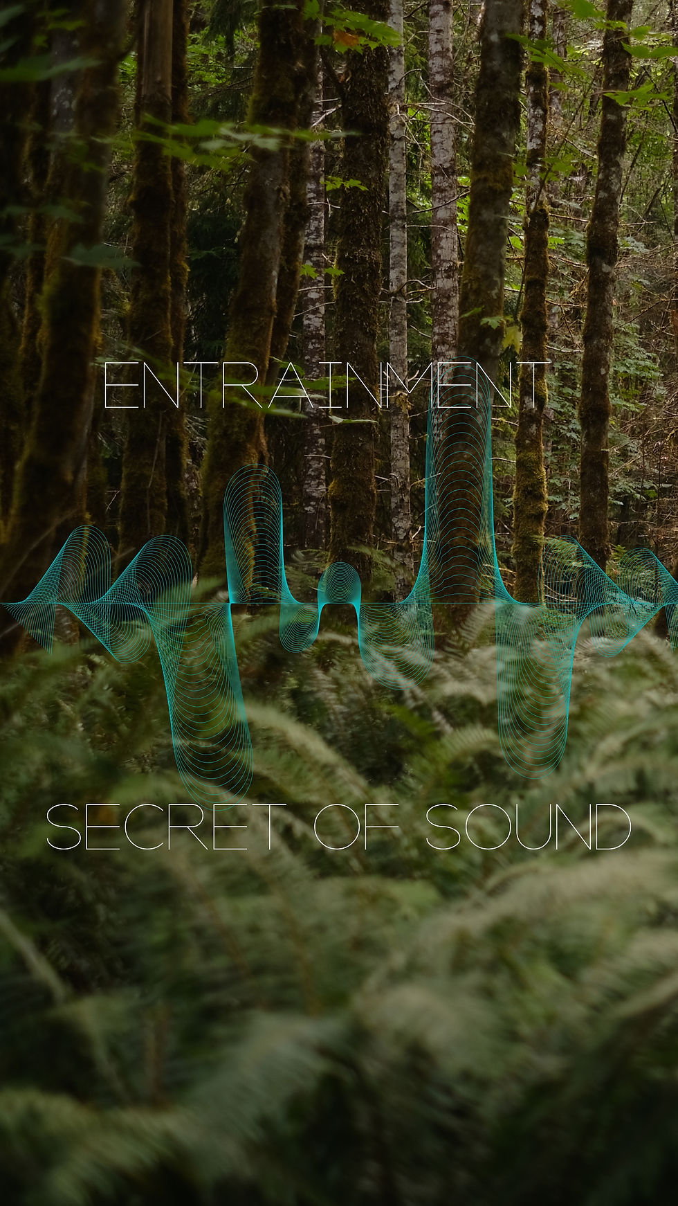 Forest and Audio Waves