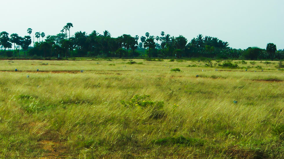 Sri Balaji Avenue - Phase I