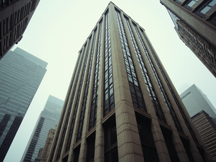 Begin Your Investment Journey in SA: Start Investing in Shares Today