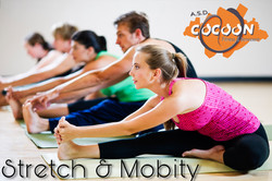 Stretch & Mobility