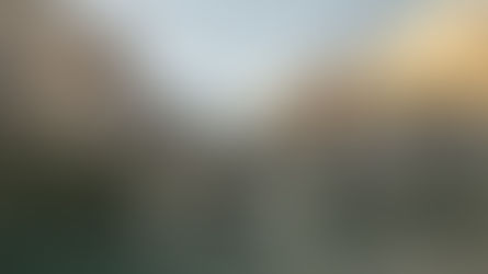 Scripture Reflection - May 26, 2019