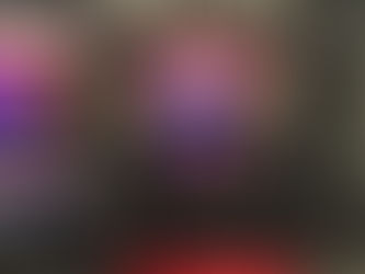 Tudo Pela Audiência - 2016