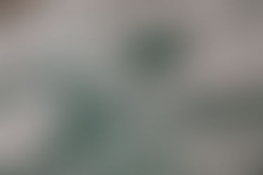 New Filling Requirement for Wyoming LLCs - Corporate Transparency Act - Beneficial Ownership report to FinCEN