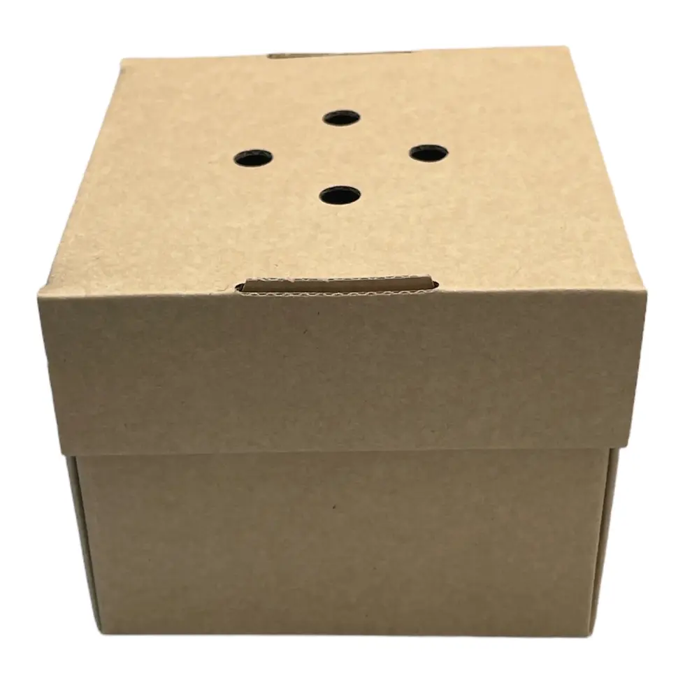 Corrugated Gourmet Burger Box